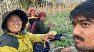 कृषि व्यवसाय सिवि गोडमेल साथै थाङगा हामि लगाउदै हामि