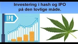 Investering i hash - Stenocare IPO