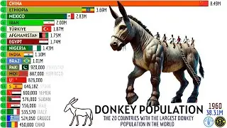 THE 20 COUNTRIES WITH THE LARGEST DONKEY POPULATION IN THE WORLD