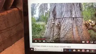 Let keep the tradition live