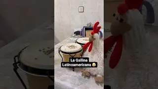 La gallina tiene ritmo 😂 #humor #comedia