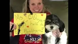 Panthers, We Miss You