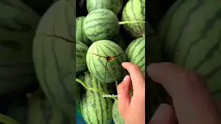 Amazing Cucumber Explosion 😱 #shorts #ytshorts