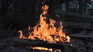 Cozy Fireplace Sounds 🔥 with Flowing Water 🌊 | Deep Calm & Sleep