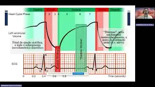 Como interpretar o ECG no monitoramento de exames de tomografia computadorizada.
