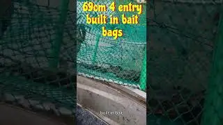Mud crabs Australia mud crabs in mangroves improved crab pot #shorts