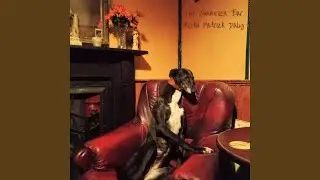 The Shamrock Bar