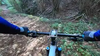 Bmc speedfox 02