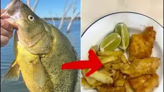 Catch and cook Yellowbelly