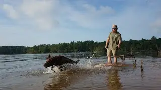 Scouting for Early Goose Season in South Carolina!!!