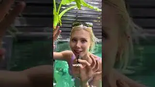Как стать ПЛАТНЫМ создателем контента 👏🏻