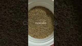 Ajwain Ko English me kya kahte hain #short#viral#youtube