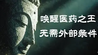 药师经的智慧：不必外求，开启内在的医王｜觉行圆满  #修行 #國學 #人生感悟 #治癒