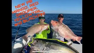 Night time is the Right time! Full moon OFFSHORE TAMPA BAY- TUNA, MUTTONS, ARS, MANGOS, YT SNAPPER