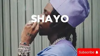 &ldquo;Shayo&rdquo; Shallipopi x Mavo x Zerrydl x Famous Pluto x Type beat || Amapiano Instrumental 2026.