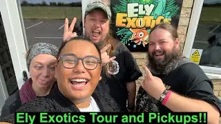 Reptile Shop Tour & PICKUPS!! Ely Exotics *EDITION*