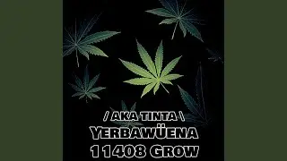 Yerbaw&uuml;ena 11408 Grow Shop