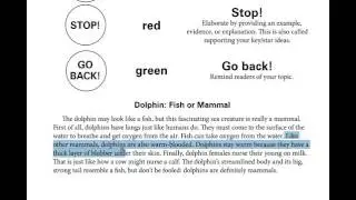 Informative Writing Step Up to Writing
