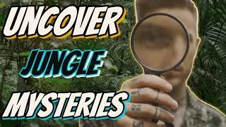 Rainforest Riddles: Uncovering Jungle Mysteries