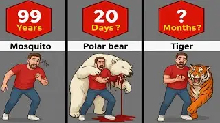 How Long Can Humans Survive After These Bites?  --Without Treatment-- 🐍🕷️🐝🐻🐊🐯