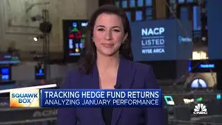 Here's how stock-picking hedge funds performed in January