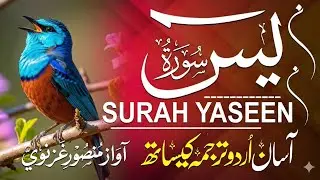 Surah Yaseen with Urdu Translation | Calm Quran Recitation &ndash; Qari Mansoor Ghaznavi