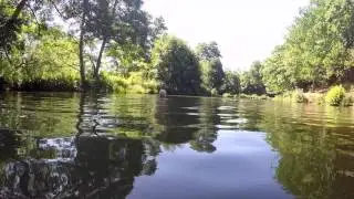Wild Swim Guide - River Wey