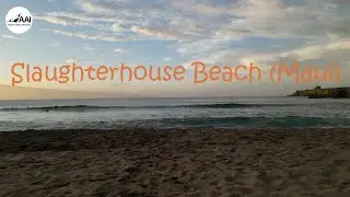 Slaughterhouse Beach Surfing | Maui | 4k Drone Video | #SlaughterhouseBeach