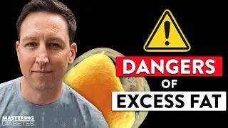 Where Is Excess Fat Stored in the Body? + How to Improve Your Gut Health | Mastering Diabetes