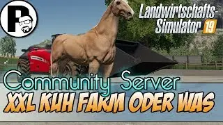 LS19 XXL KUHFARM? + Bergi| Landwirtschafts Simulator 19 | Felsbrunn | LS19 Multiplayer