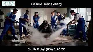 Gorilla Carpet Cleaning in NYC? Only On Time Steam Cleaning Can Handle It! 🦍🧼