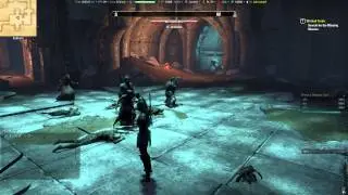 eso 2014 04 17  bots farming bosses in public dungeon