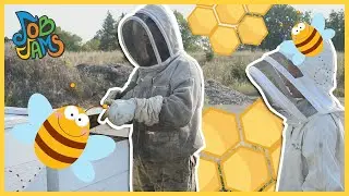 Honey Bees and Beekeepers Song | Job Jams |  Buzzing Bees and Fun Kids Music