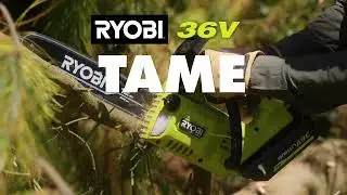 Садовая серия RYOBI 36V
