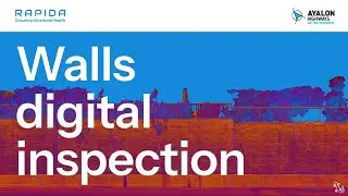 Rapida. Walls Digital Inspection