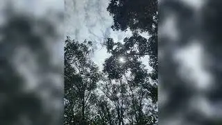 Natural beauty some collect  a picture #Be like and subscribe my channel thank you