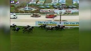 1987 W.S. Cox Plate | Rubiton | T: P C Barns | J: Harry White