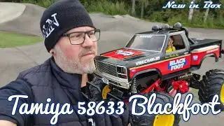 Tamiya Blackfoot #58633 on the skateramp.