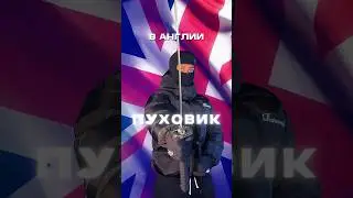Пуховики которые носят круглый год, почему именно их? И причём здесь Cee?