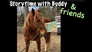 Storytime with Buddy - The Princess and the Pony by Kate Beaton