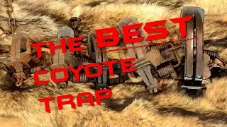 Best Trap for Coyotes, Bobcats, Beavers, Foxes and everything else