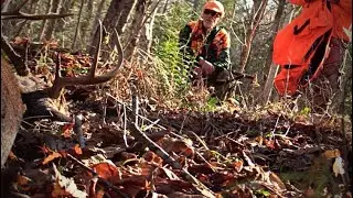 DEER CAMP 2022 | STILL HUNTING the MAINE WOODS (BUCK DOWN!)