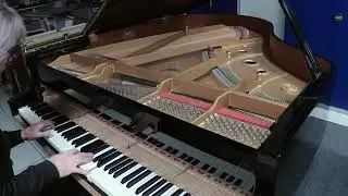 Werkstattaufnahme K.Kawai Modell R-O