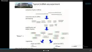 NGS RNASEQ data download from NCBI GEO RPKM and read count analysis