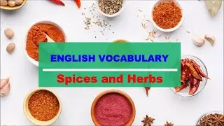 Spices and Herbs Vocabulary with Pictures, Pronunciations and Definitions
