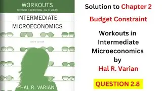 Budget Constraint Q2.8 (From 'Workouts in Intermediate Microeconomics' by Hal Varian)