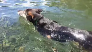 Eel River swimmas