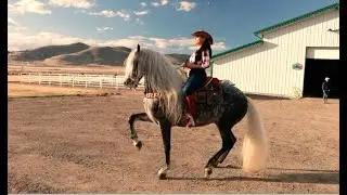 Alejandra Rojas (Entrenamiento con sus caballos) Salt Lake City 2020