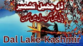#dal #dallake #srinagar #kashmir #jammukashmir #india #pakistan #history #culture #ytviral #yt 