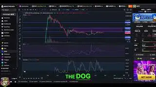 SATO THE DOG Crypto Update: Sideways Movement Analysis! #shorts